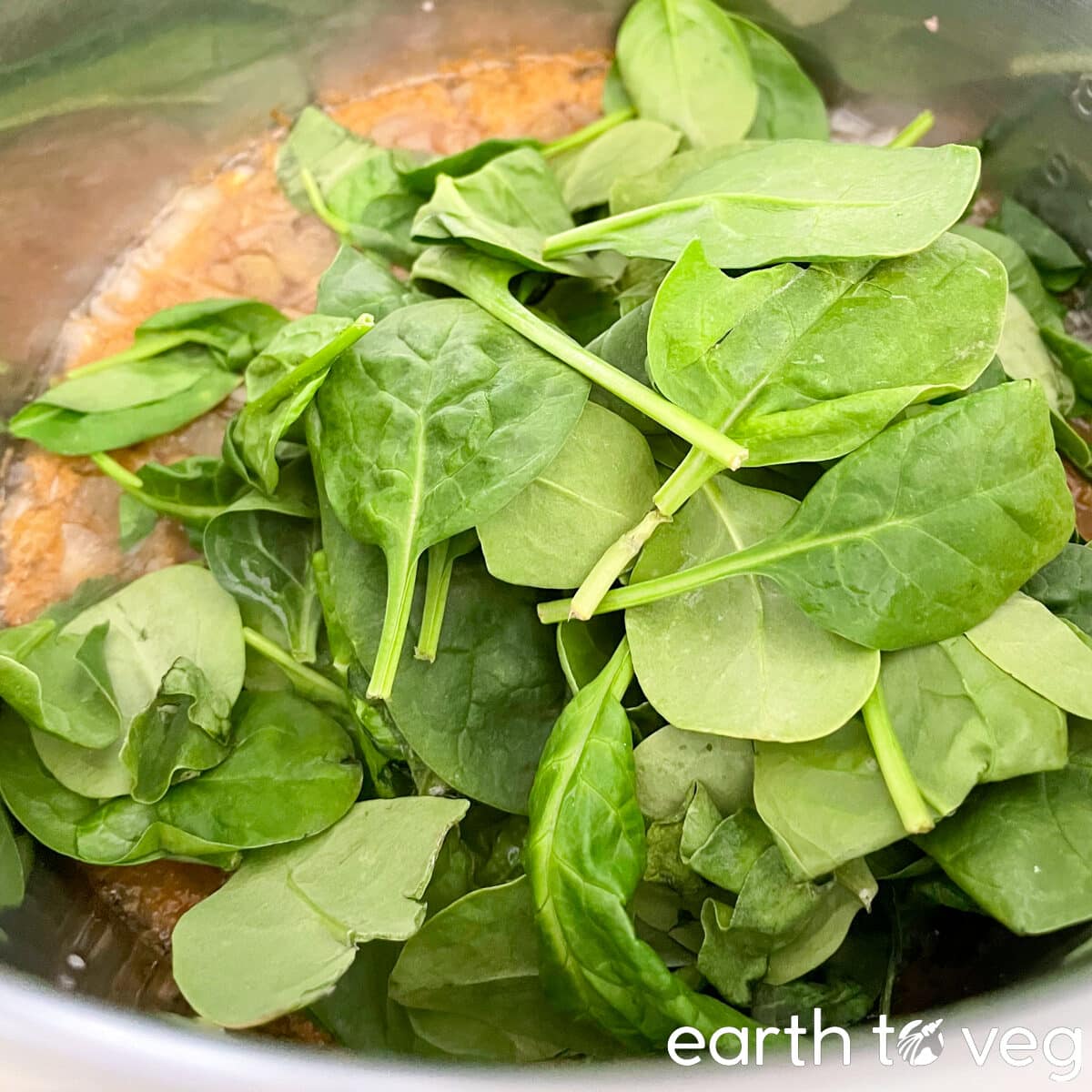 adding baby spinach to lentil soup