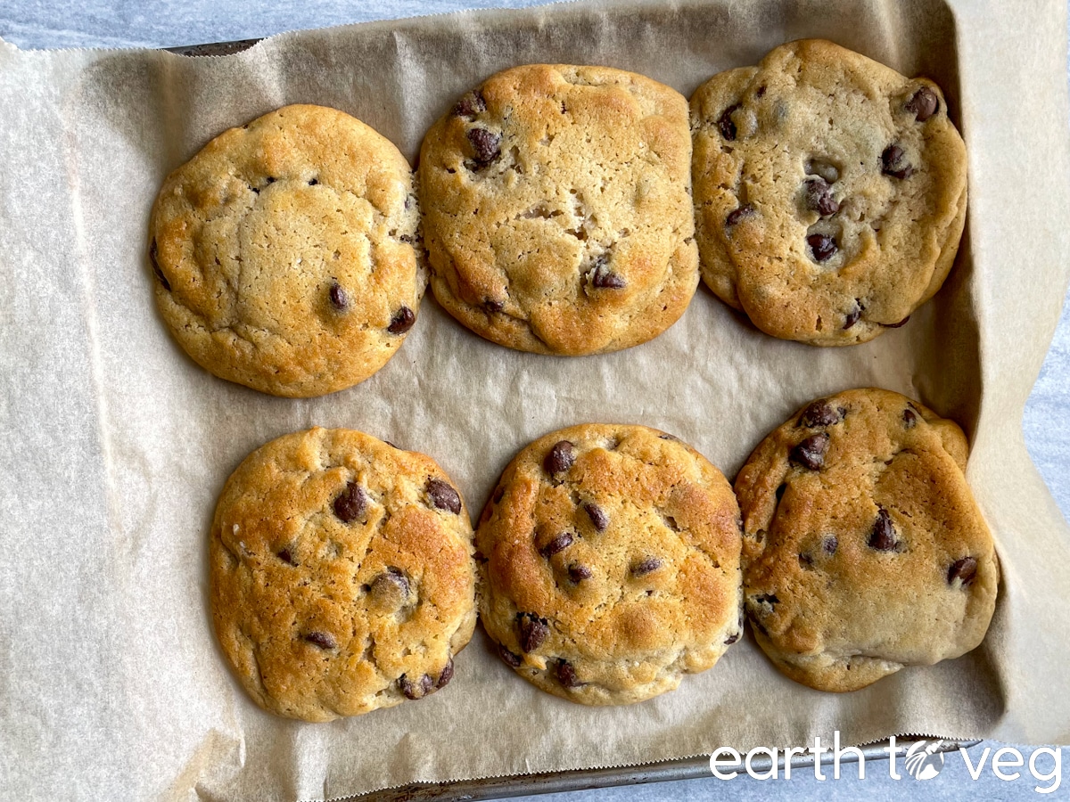 freshly baked chocolate chip cookies out of the oven.