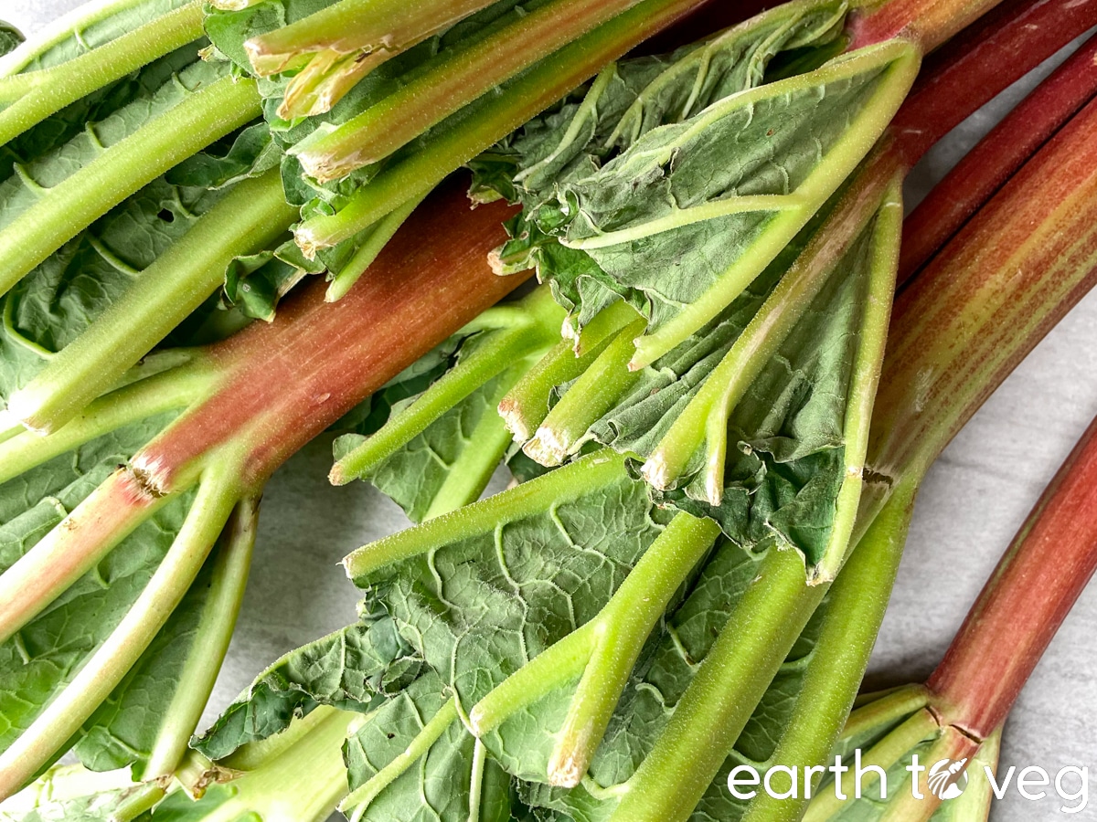 fresh rhubarb leaves
