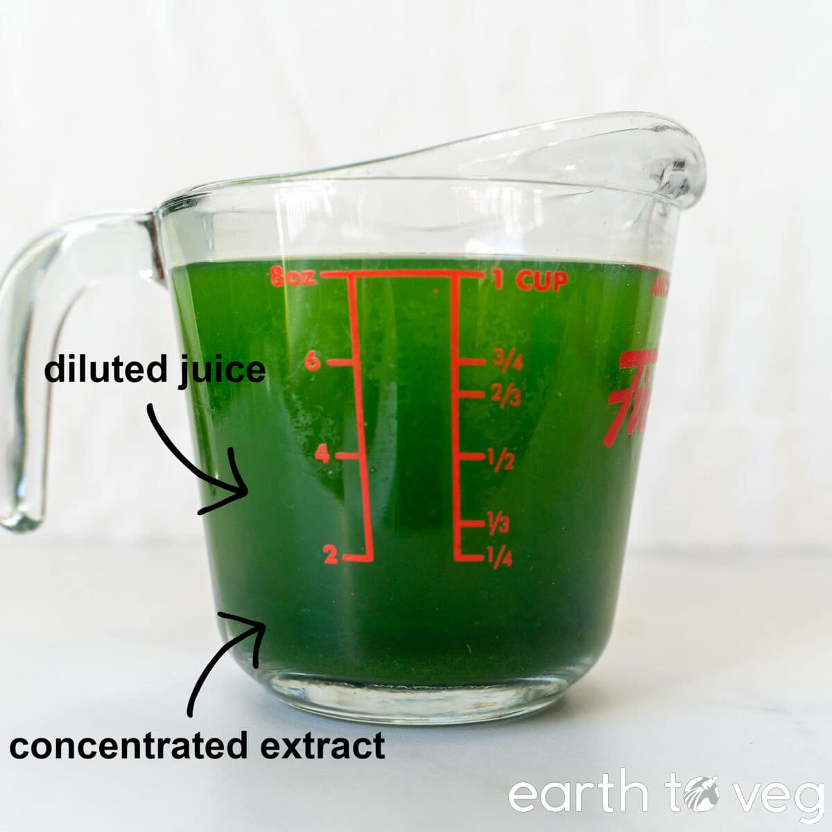 pandan layers