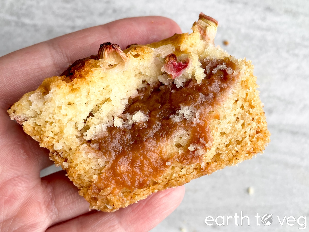 vegan rhubarb loaf cross-section