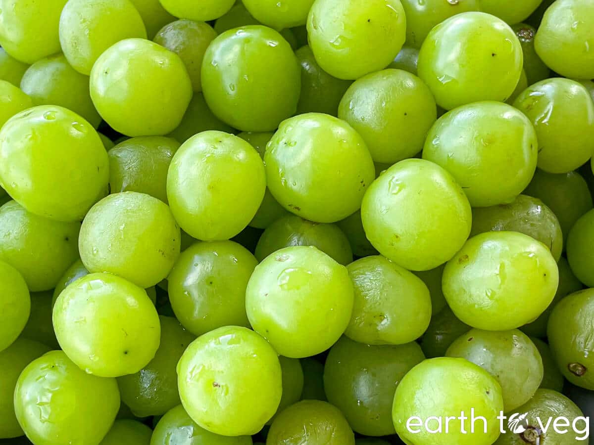 Green seedless grapes from Costco, dubiously labelled as shine muscat.