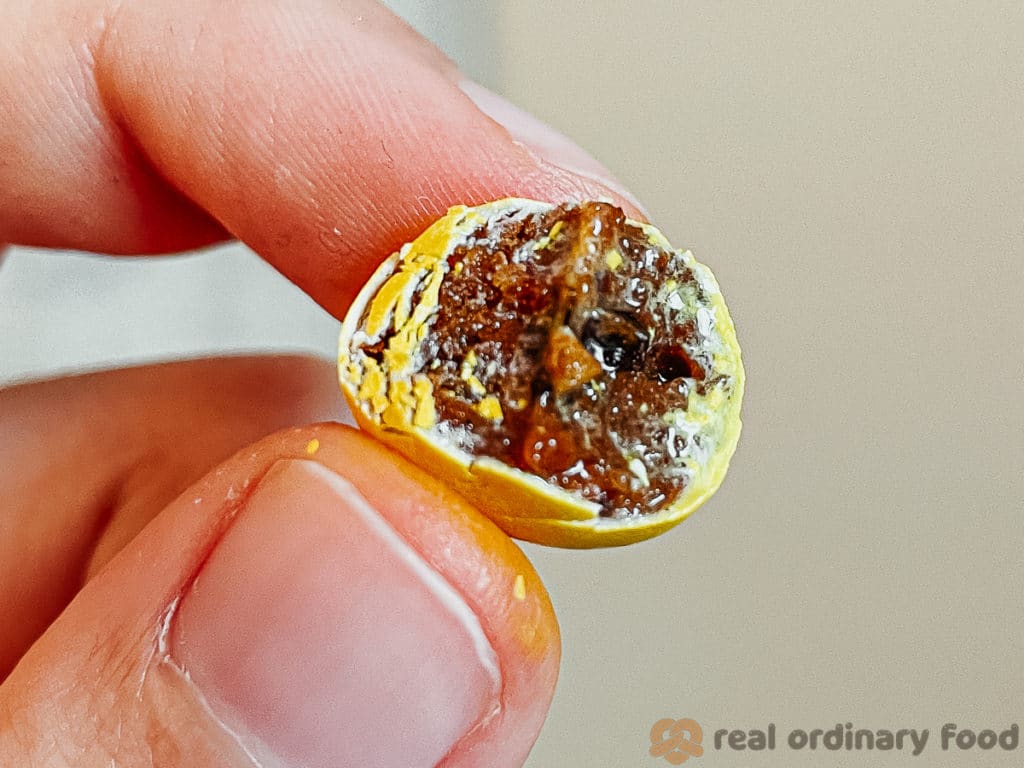 cross section of a pulparindots candy