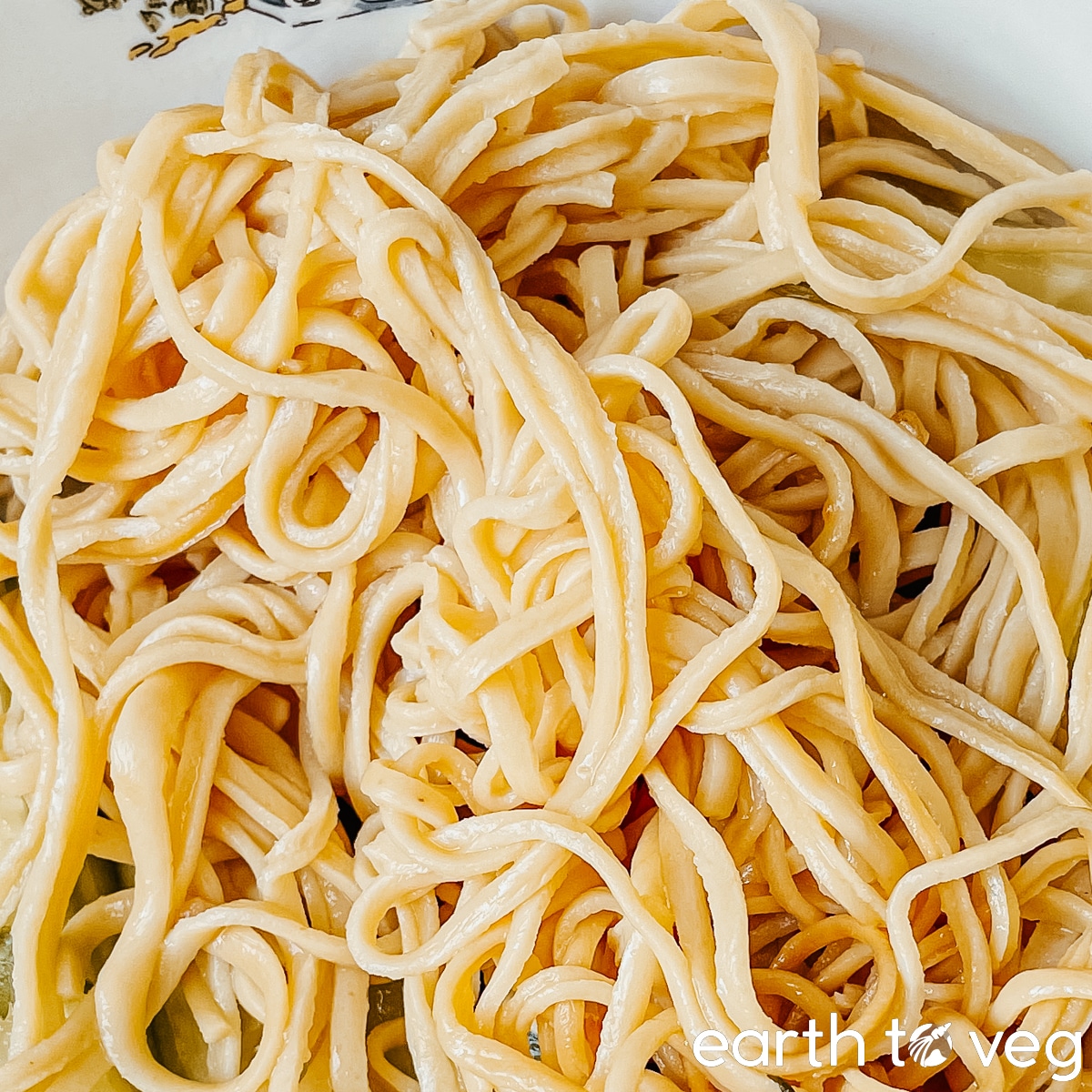 Closeup of boiled bean curd noodles in a white bowl.