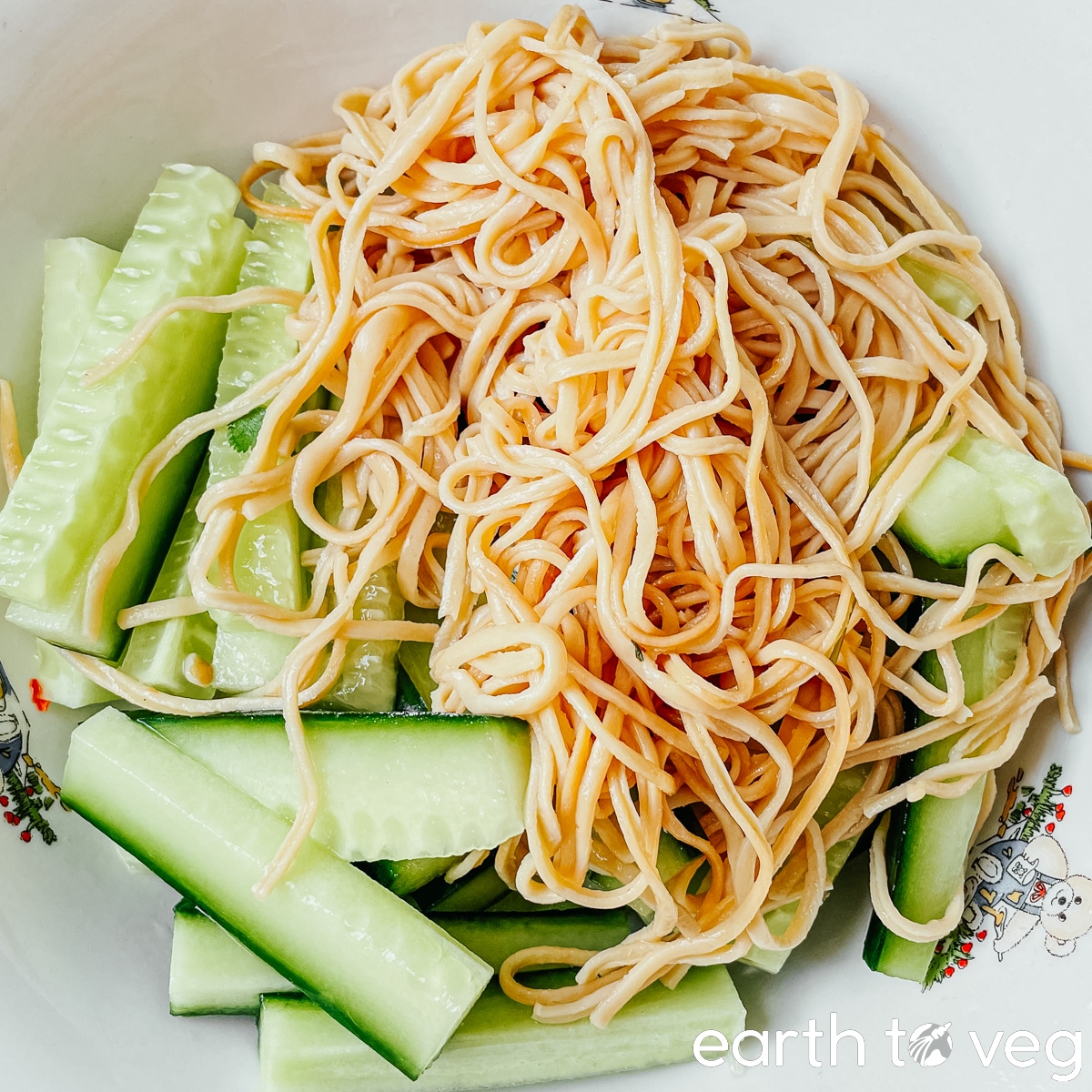 Sliced cucumbers and bean curd strips together in a white bowl.