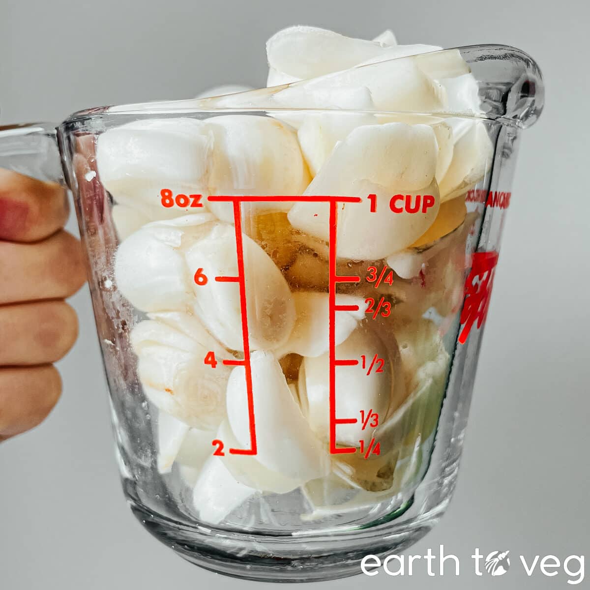 cupful of fresh lily bulbs