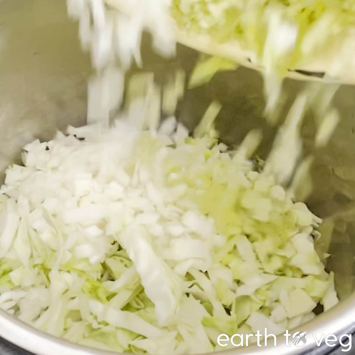 saute the cabbage, garlic, celery, and onion