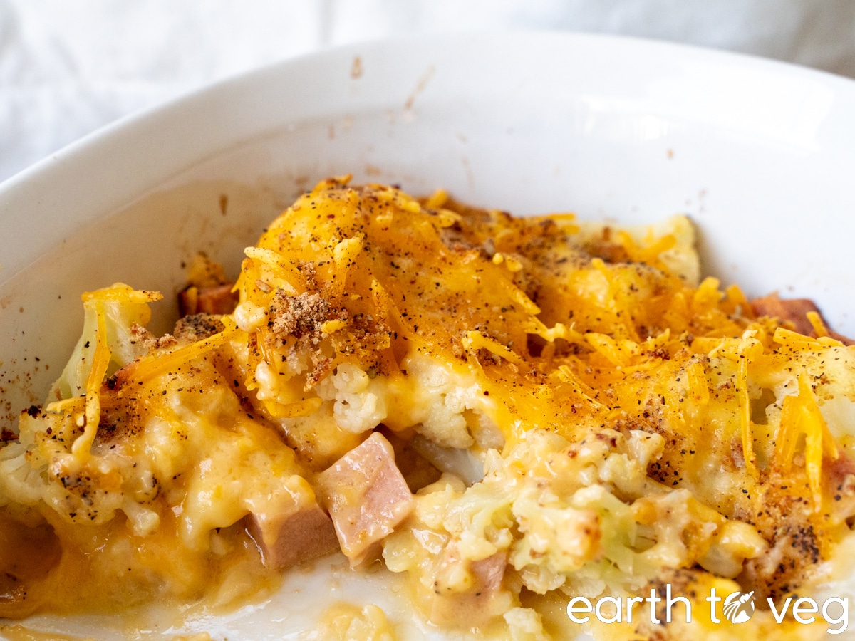 creamy cauliflower cheese bake