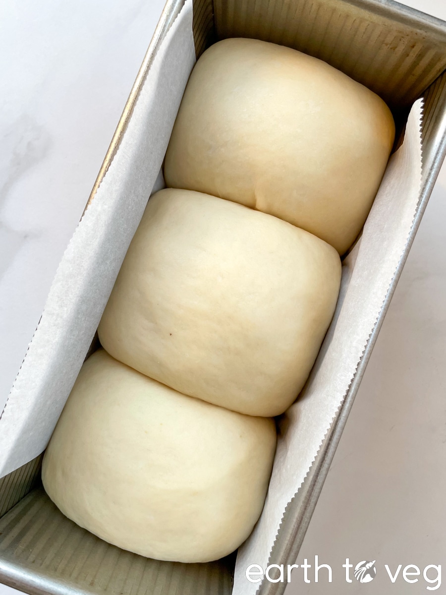 raw bread dough after final proof