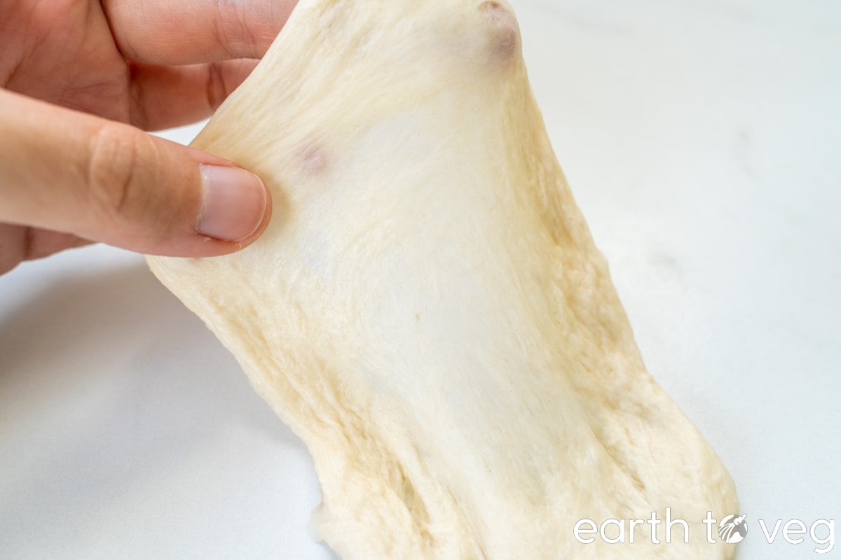 windowpane test for bread dough
