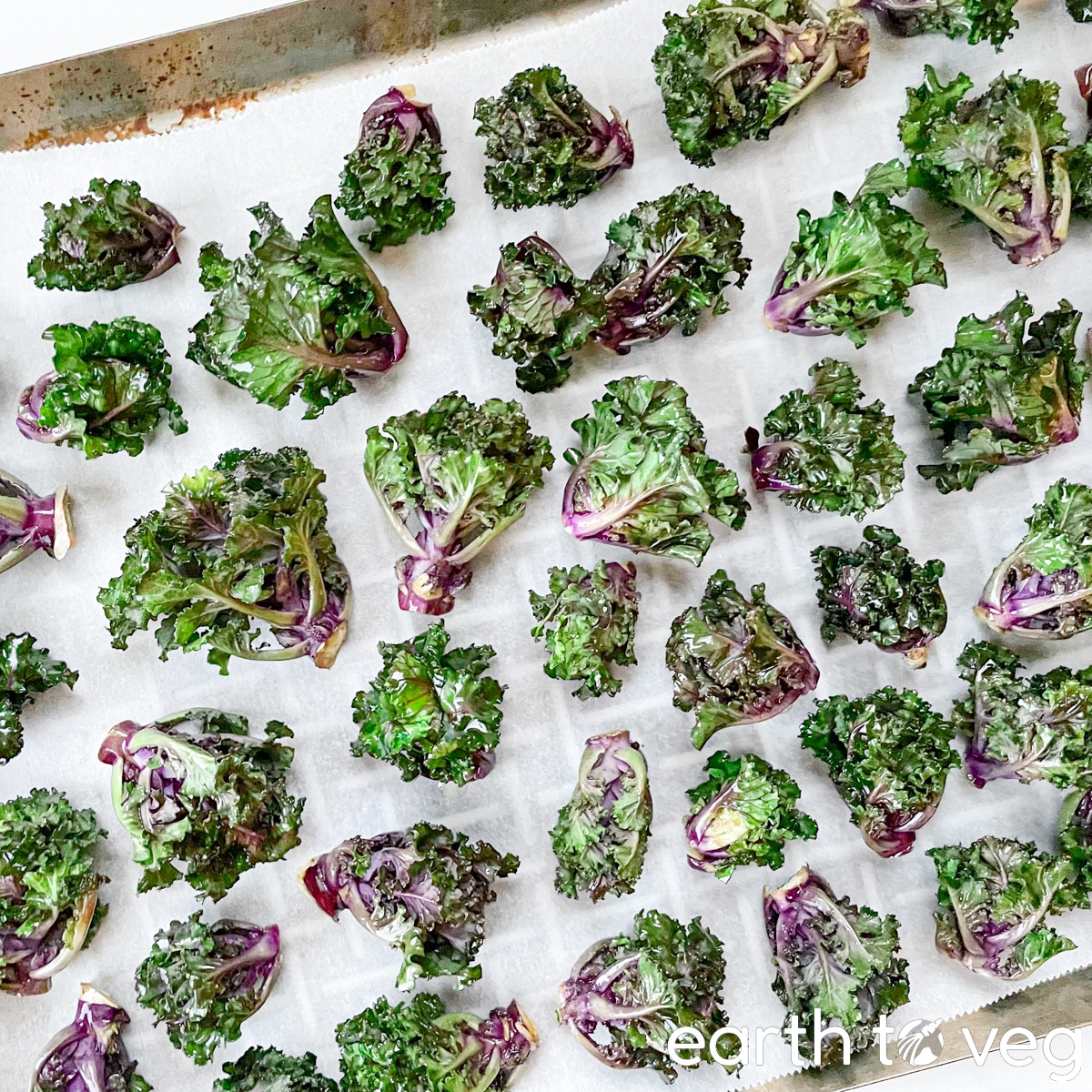 arranging kalettes on baking sheet
