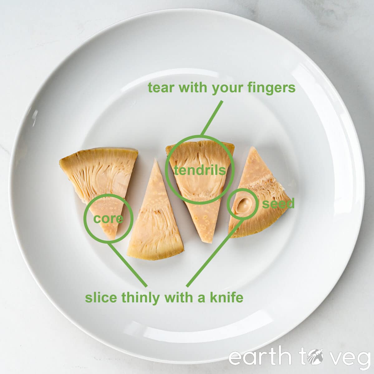 anatomy of green jackfruit: labels of the various components (core, tendrils, and seeds) in canned young jackfruit