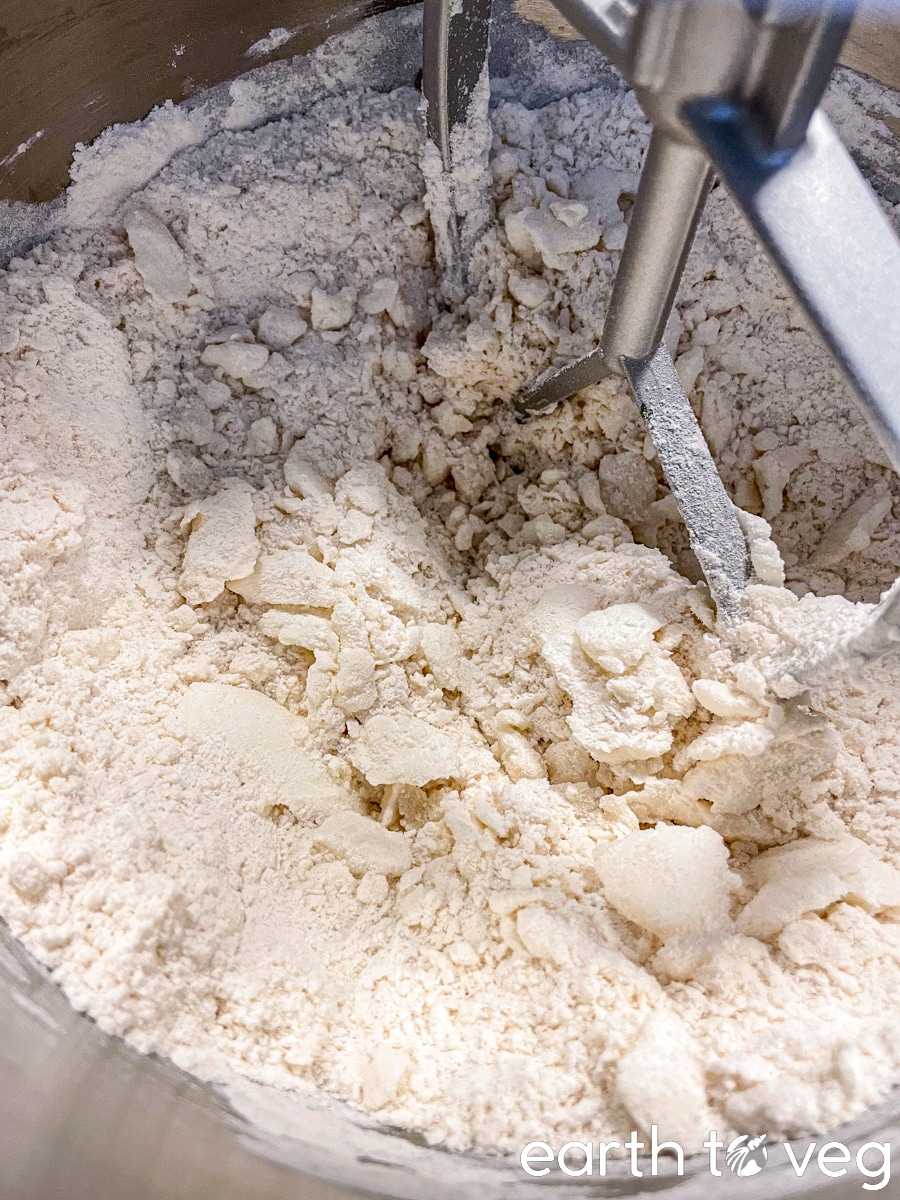 Coarse and crumbly pie crust dough after cutting the shortening into the flour, with a sandy texture.