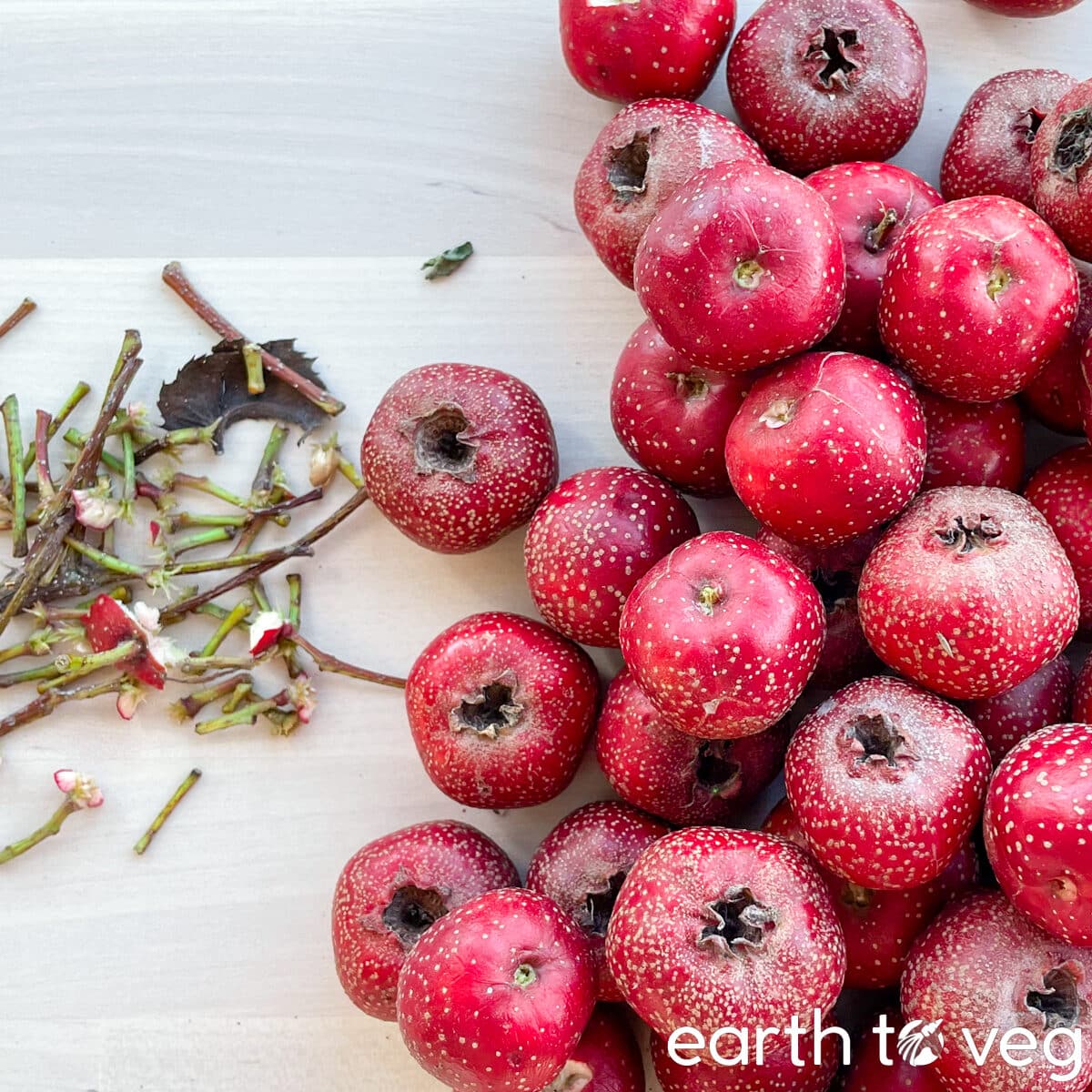 A pile of Chinese hawthorn berries next to discarded stems and leaves.
