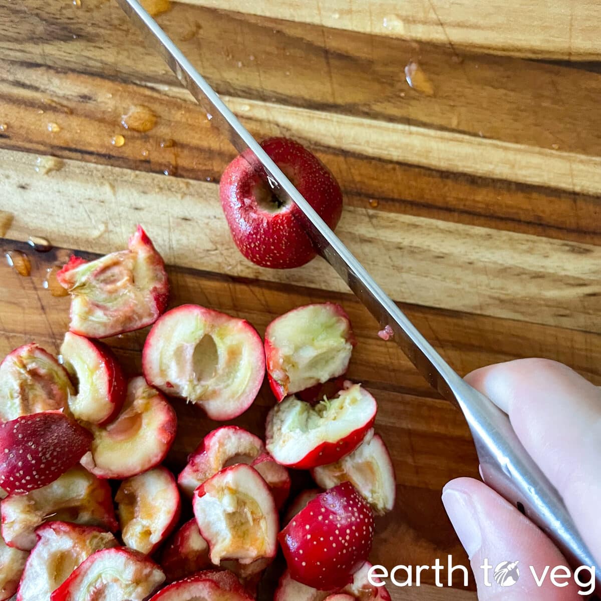 A hand holds a knife slicing down into the centre of a hawthorn berry.