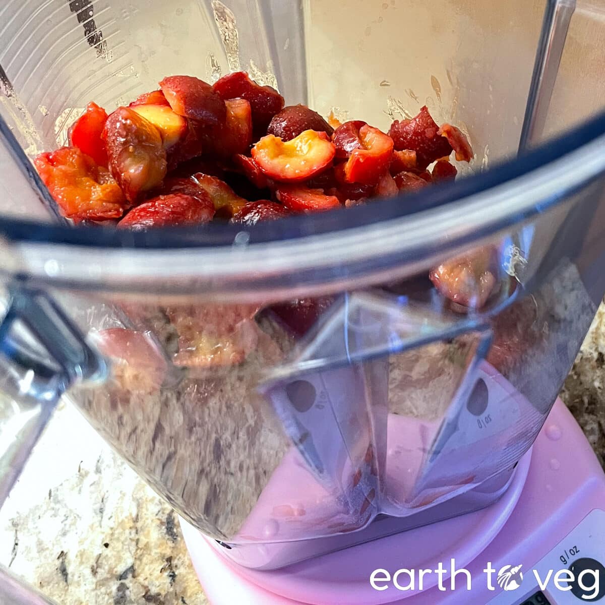 Cooked and softened hawthorn berries in a vitamix blender.