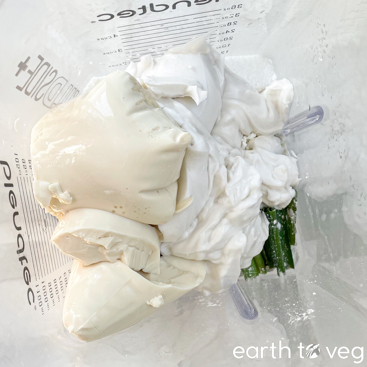 Pandan leaves, tofu, sugar, and coconut cream are added to a Blendtec blender.