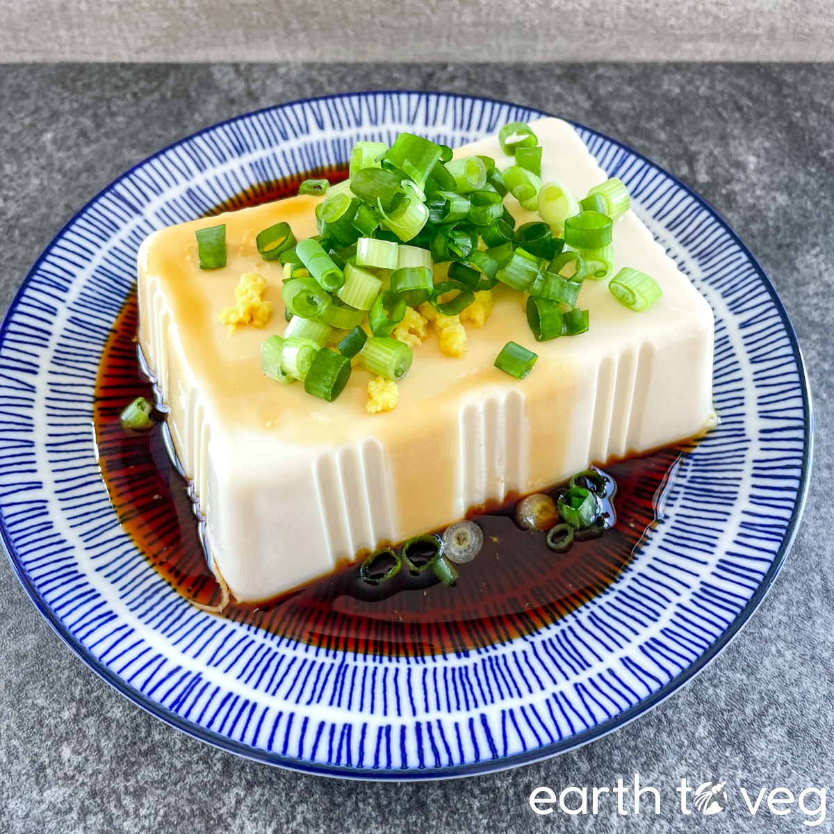 The soy sauce-drenched soft tofu is stopped with scallions and grated ginger.