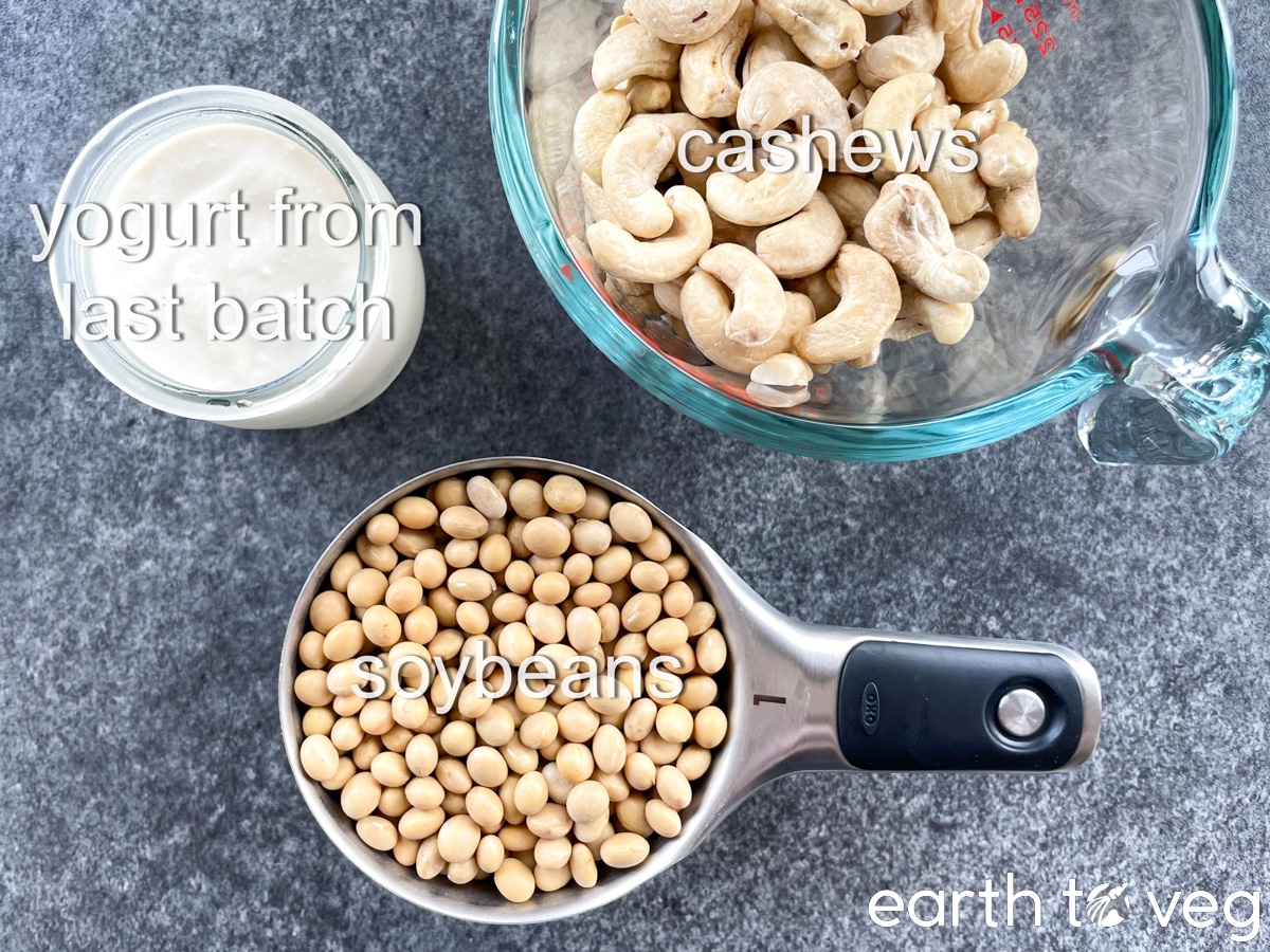 The three ingredients for making soy milk cashew yogurt are laid out on a grey-blue countertop.