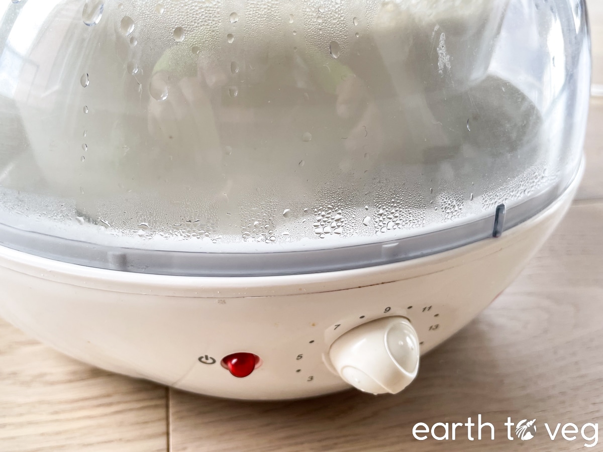 A large glass bowl of yogurt ferments inside a white Euro Cuisine yogurt maker.