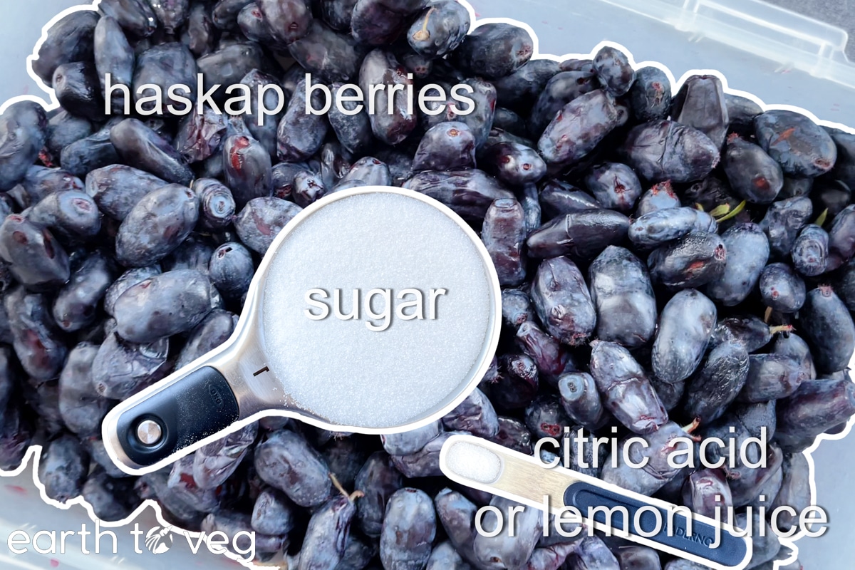 Cutout and labelled pictures of the ingredients for haskap berry jam.
