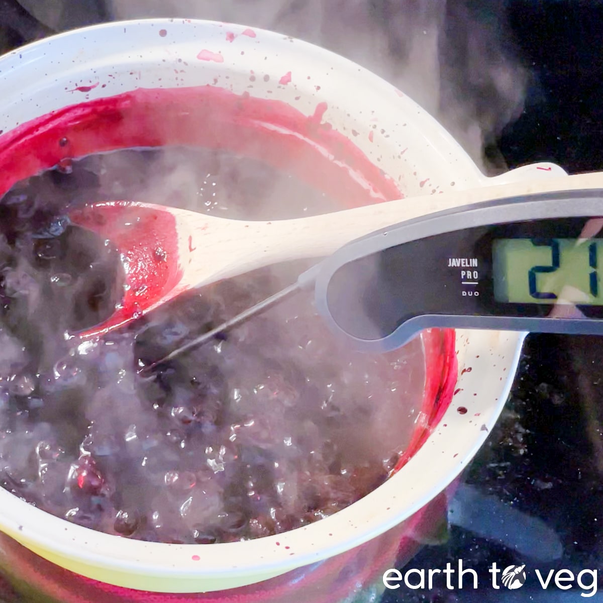 A folding food thermometer is inserted into a bubbling pot of haskap jam.
