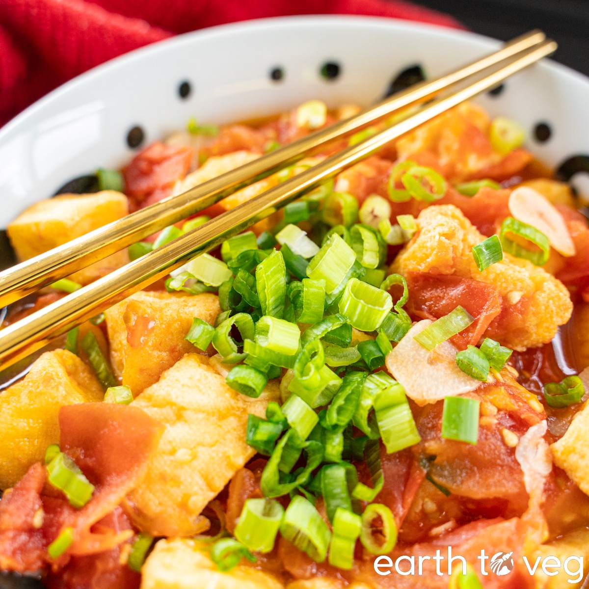 Golden chopsticks over a large black-and-white bowl of tomato tofu.
