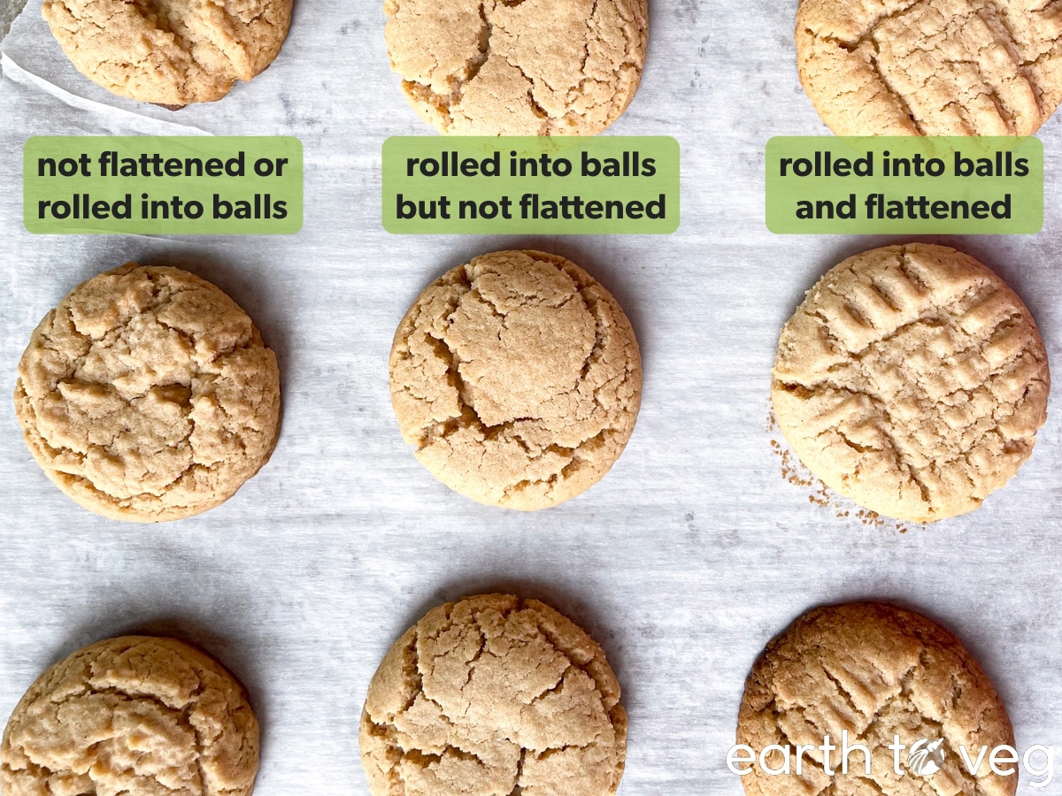 Comparison between peanut butter cookies that were not rolled or flattened, vs cookies that were rolled but not flattened, vs peanut butter cookies that were flattened with a fork.