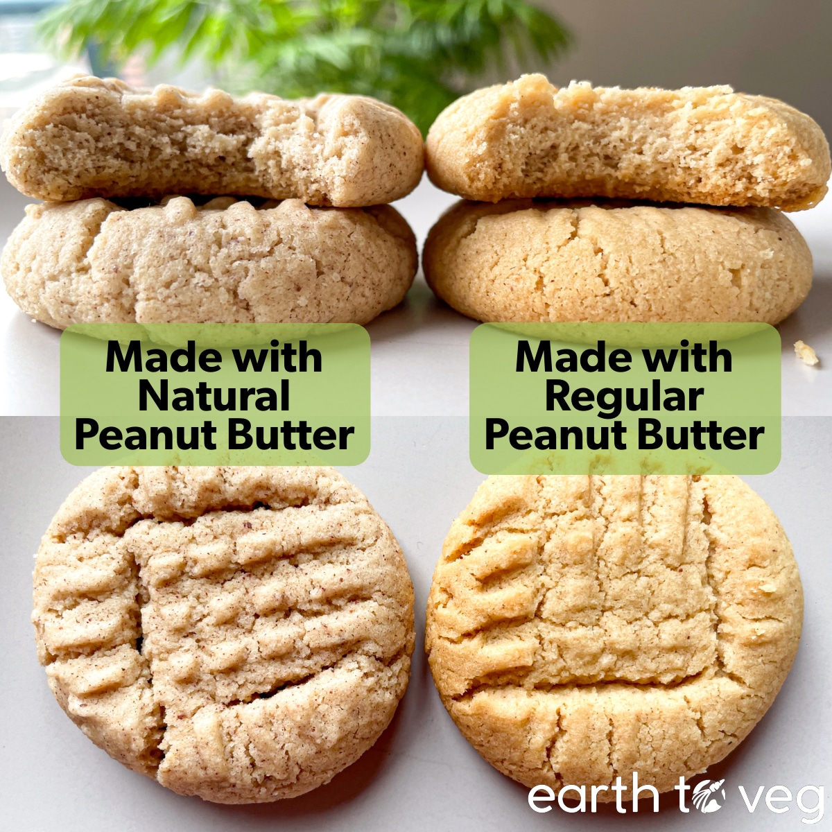 Comparison between pb cookies made with natural peanut butter vs cookies made with regular peanut butter.
