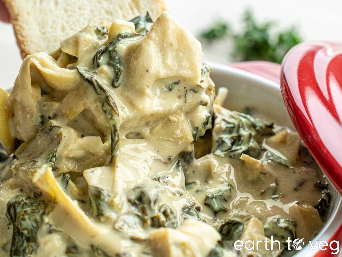 A melba toast cracker is dipped into a small cocotte of spinach artichoke dip.