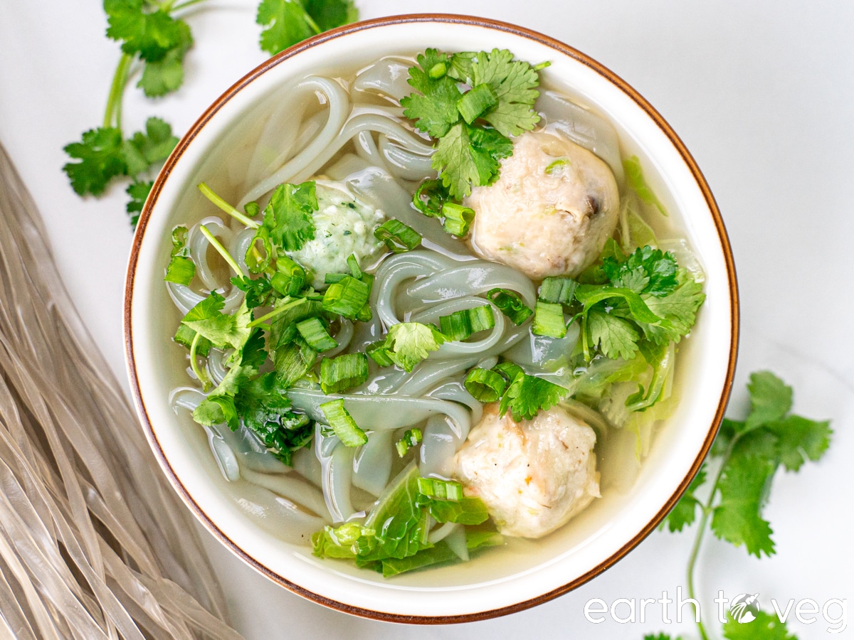A ceramic bowl brimming with vegan no-fish ball soup garnished with cilantro and scallions.