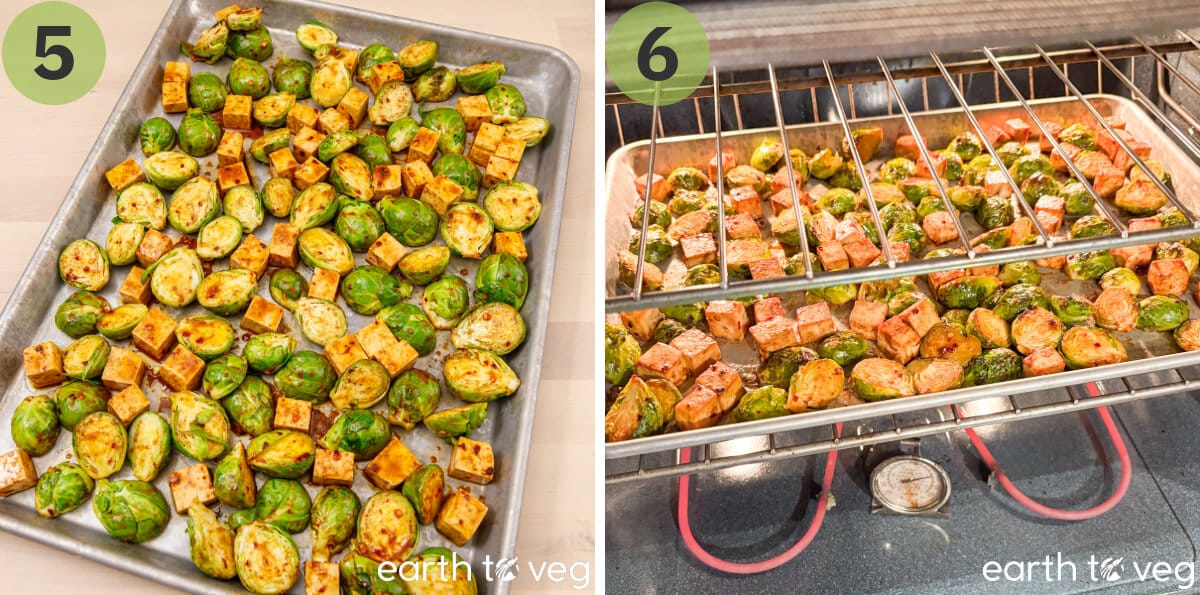 Roasting miso-covered brussels sprouts and tofu in the oven.