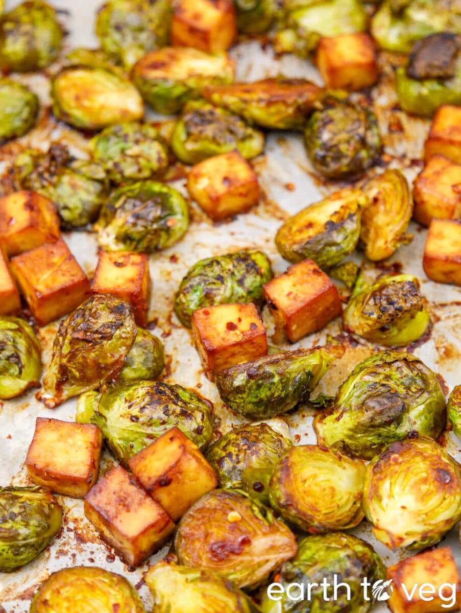 A closeup shot of miso tofu brussel sprouts on a sheet pan.