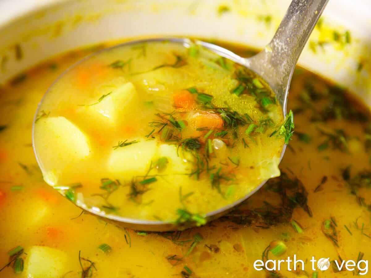 A ladle full of Polish dill soup.