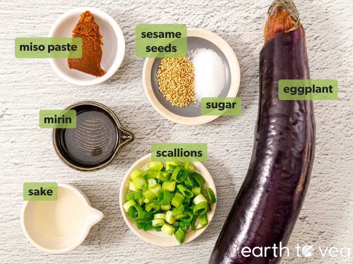 Ingredients for nasu dengaku laid out on the countertop.